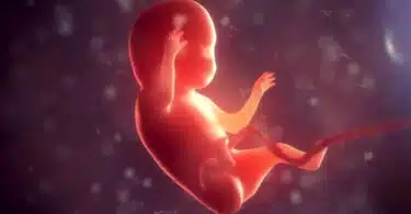 bone marrow study infertility fetus