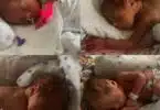 Minnesota Couple Welcomes Identical Quadruplet Girls