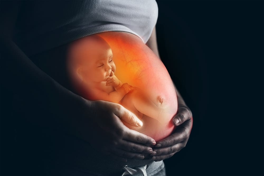 small baby in utero