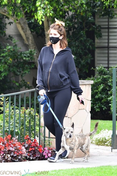 Pregnant Katherine Schwarzenegger goes for an afternoon walk with her dog in LA