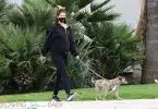 Pregnant Katherine Schwarzenegger goes for an afternoon walk with her dog in LA