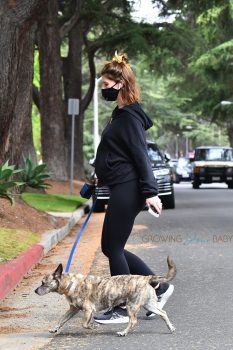 Pregnant Katherine Schwarzenegger goes for an afternoon walk with her dog in LA
