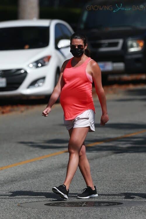 Pregnant Lea Michelle out in LA