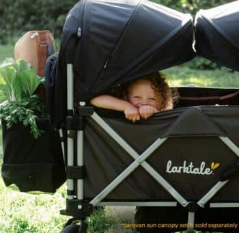 larktake caravan stroller wagon