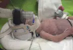 11 ounce harper rose