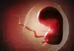 Baby Born For 27-Year-Old Frozen Embryo Sets Record