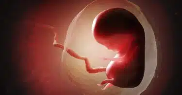 Baby Born For 27-Year-Old Frozen Embryo Sets Record