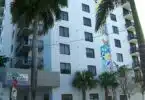 Palm Tree Saves Toddler From 4-Story Fall