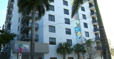 Palm Tree Saves Toddler From 4-Story Fall