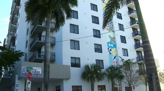 Palm Tree Saves Toddler From 4-Story Fall