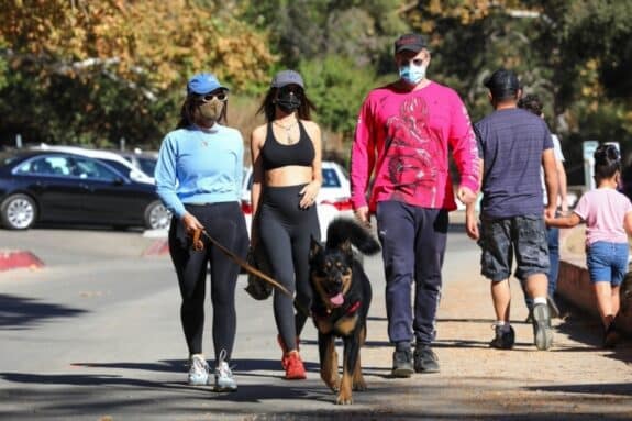 Pregnant Emily Ratajkowski, Sebastian Bear-McClard hiking in LA with friends