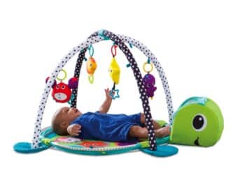 Inglesina Grow-With-Me Activity Gym & Ball Pit