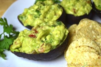 Gameday Homemade guacamole