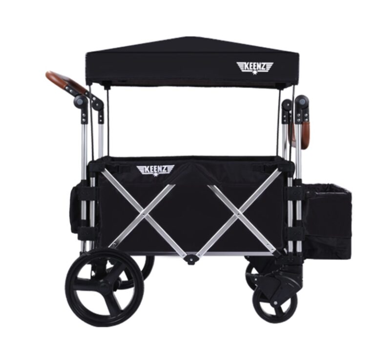 6 Best Stroller Wagons For 2021! Growing Your Baby