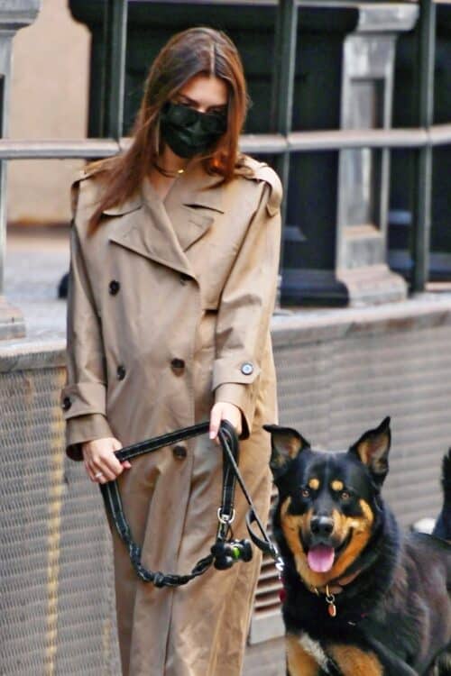 Emily Ratajkowski looks stylish in a trench coat as she shows off her growing baby bump while out for a walk