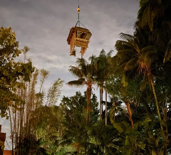 Disney Set To Unveil New Jungle Cruise Experience On July 16 at Magic Kingdom and Disneyland - trader sams