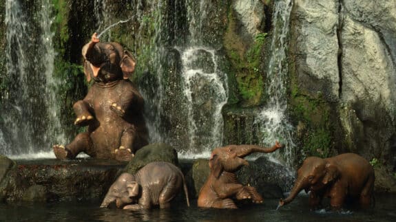 Jungle Cruise at Magic Kingdom Park