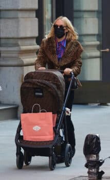 Chloe Sevigny pushes fendi stroller