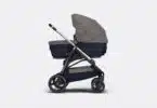 Dior x Inglesina stroller