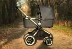 Bugaboo Fox 3 with bassinet