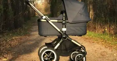 Bugaboo Fox 3 with bassinet