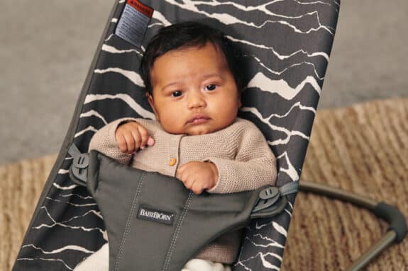 babybjorn landscape collection bouncer bliss