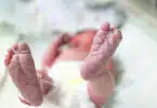 Premature Baby Abandoned on Hood of Car in Connecticut