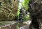 Visiting Watkins Glen State Park With Kids