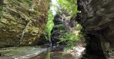 Visiting Watkins Glen State Park With Kids