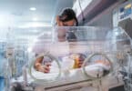 Female doctor examining newborn baby in incubator