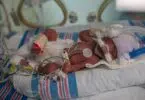 23 Week Baby Thought To Be Dead Found Breathing In Box