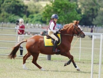 India Hemsworth Competes At Tambourine Pony club