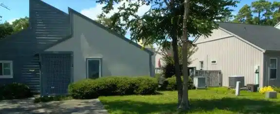 Newborn Baby Girl Found Abandoned in Bushes, Mother Arrested