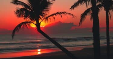 beautiful backlit caribbean beach