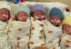 Freels quintuplets