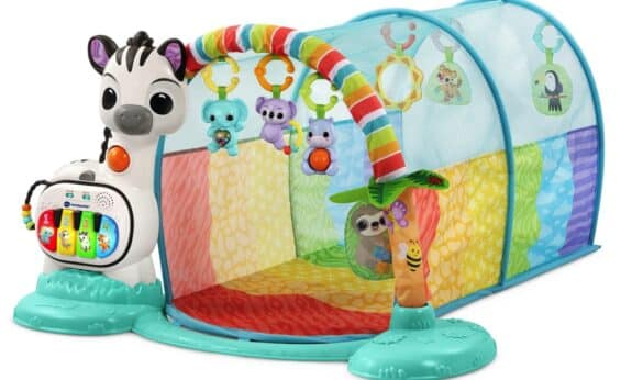 VTech 6-in-1 Tunnel of Fun