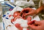 Premature baby lies in the incubator