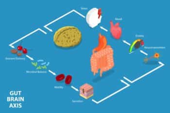 Gut Brain Axis