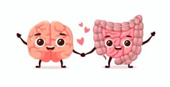 The brain and intestines hold hands