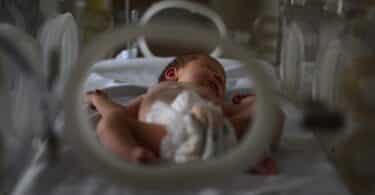 Newborn Baby Sleeping In Hospital Incubator