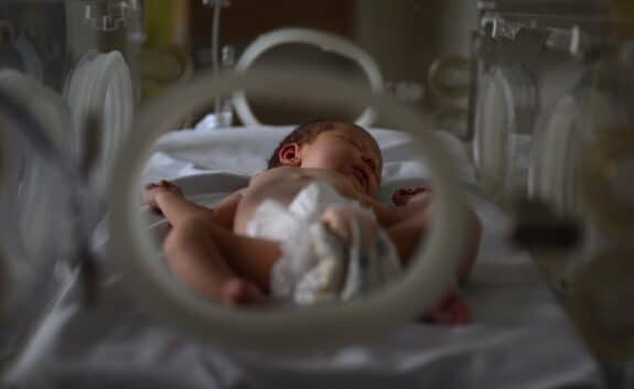 Newborn Baby Sleeping In Hospital Incubator