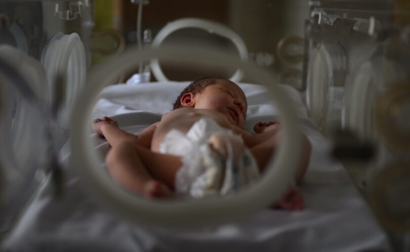 Newborn Baby Sleeping In Hospital Incubator