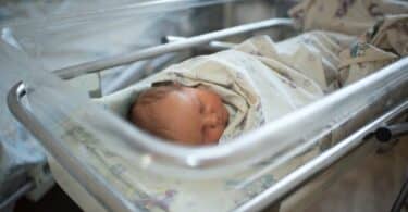 Newborn baby sleeps in a transparent plastic cradle
