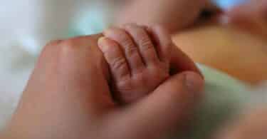 Newborn little hand hold by adult hand