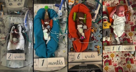 Nash Keen Developmental journey