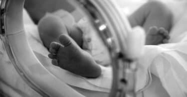 Newborn baby feet in incubator