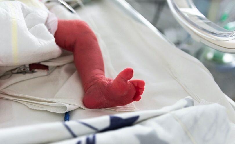 Small newborn is placed in a premature newborn incubator