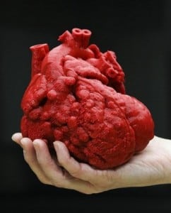 3-D Printer Creates A Model Of A Baby's Heart To Assist Surgeons