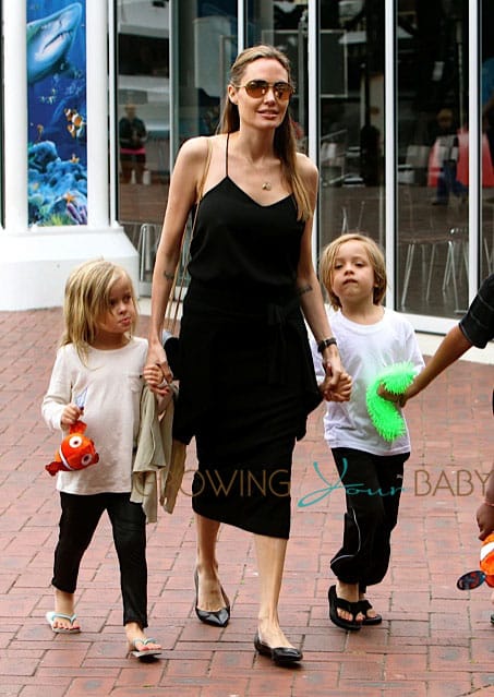 Angelina Jolie at the Sydney Zoo with  Knox and Vivian