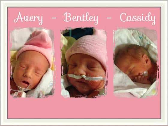 Avery. Bentley and Cassidy doss